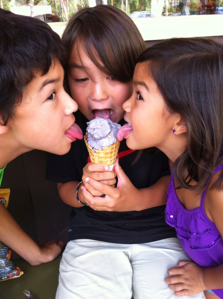 Huckleberry Ice Cream